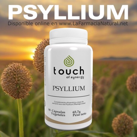 Psyllium Intestino Saludable (90 cap) - Touch