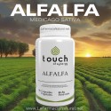Alfalfa (90 Cap) - Touch