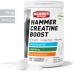 Creatina Premium (450g) - Hammer
