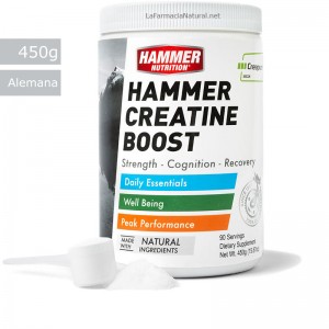 Creatina Premium (450g) - Hammer