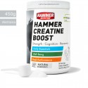 Creatina Premium Alemana (450g) - Hammer