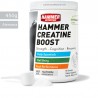 Creatina Premium Alemana (450g) - Hammer