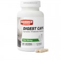 Probióticos Digest Cap (60 cap) - Hammer