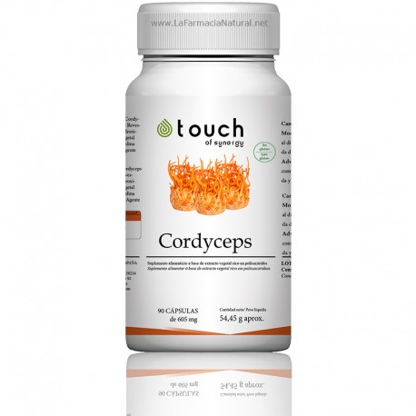 Cordyceps Organico (90 cap) - Touch