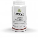 Castaño de Indias (90 cap)  - Horse Chestnut Touch