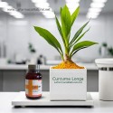 Curcuma 500mg (180 cap) - Dr JC